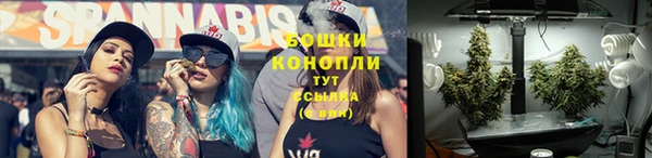 бошки Касимов