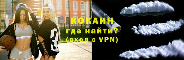 сатива Карталы