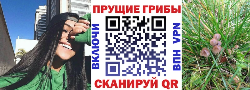 Псилоцибиновые грибы прущие грибы  Афипский 